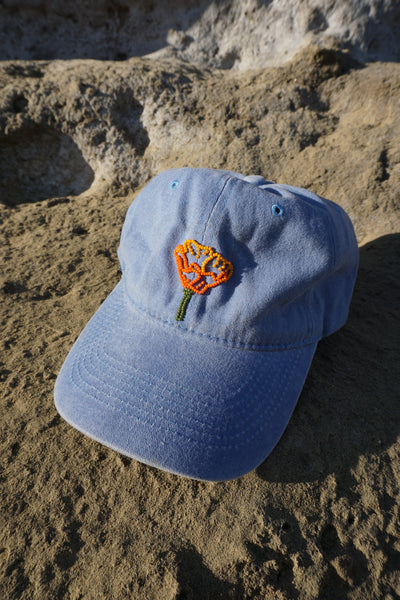 Limited Edition Shop Hat – The shop Forestry & Supply