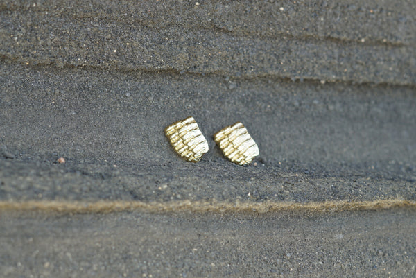 Shell Fragments #1