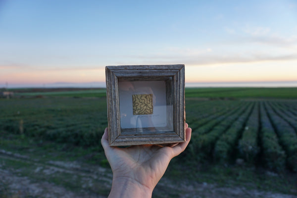 4 X 4" Custom Map Shadow Box