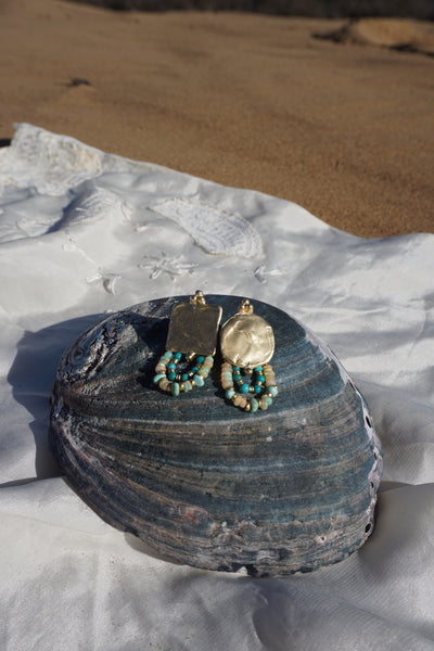 Abalones